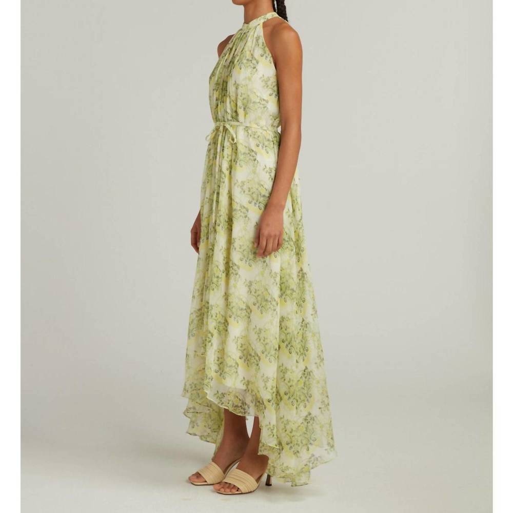 NEW SALONI irinia dress in terrarium lemon - Picture 2 of 6